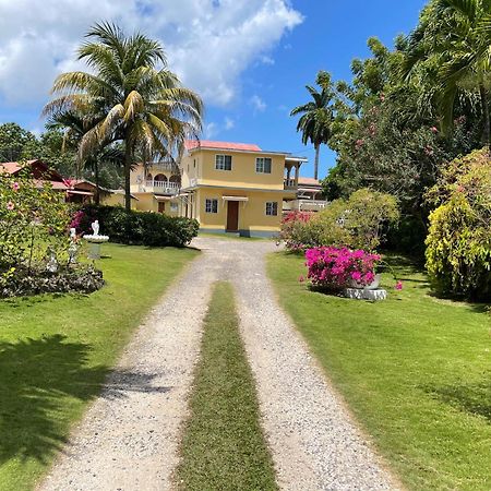 Little Shaw Park Guest House Ocho Rios Esterno foto