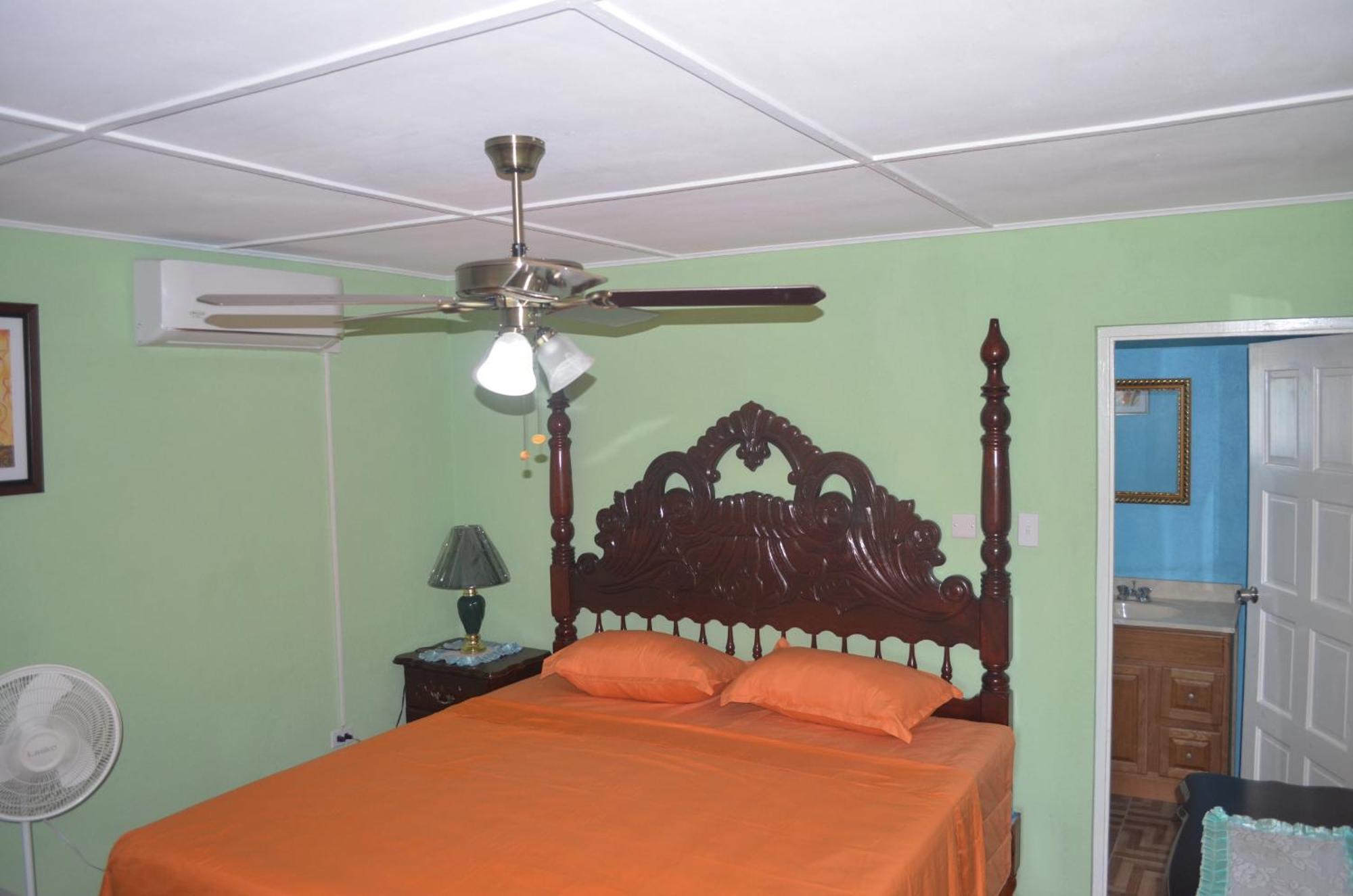 Little Shaw Park Guest House Ocho Rios Esterno foto