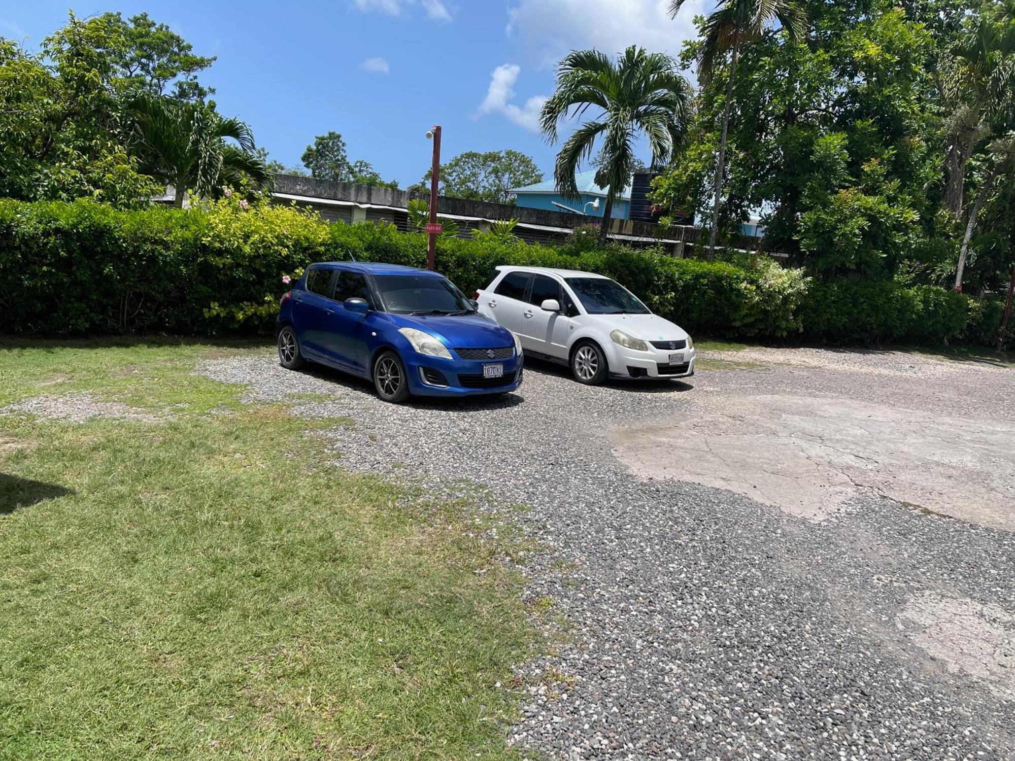 Little Shaw Park Guest House Ocho Rios Esterno foto