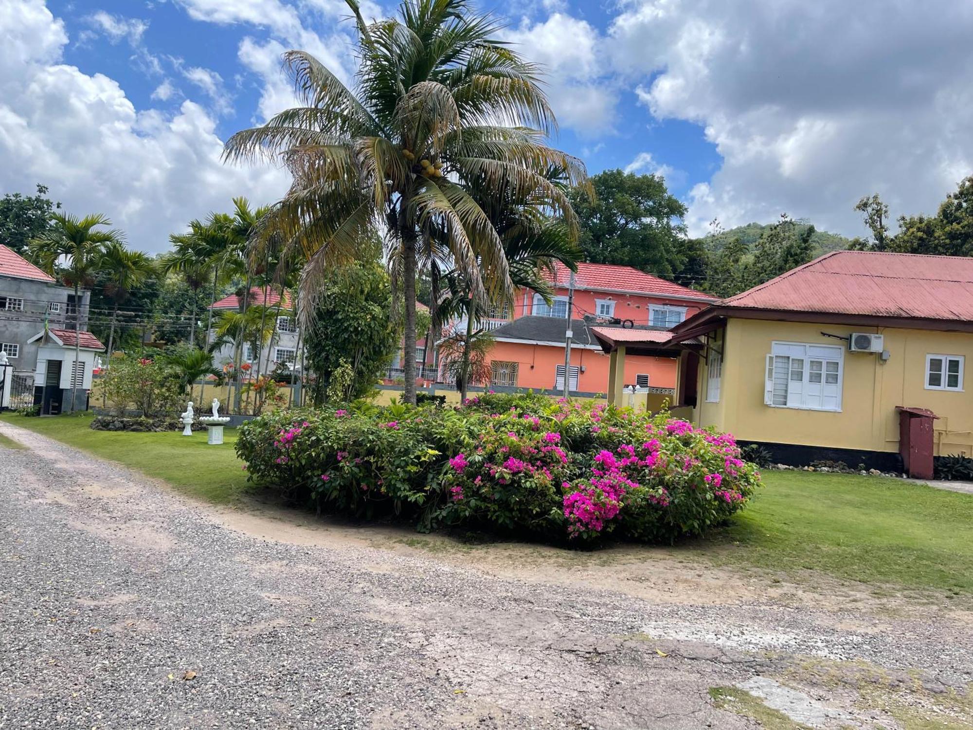 Little Shaw Park Guest House Ocho Rios Esterno foto