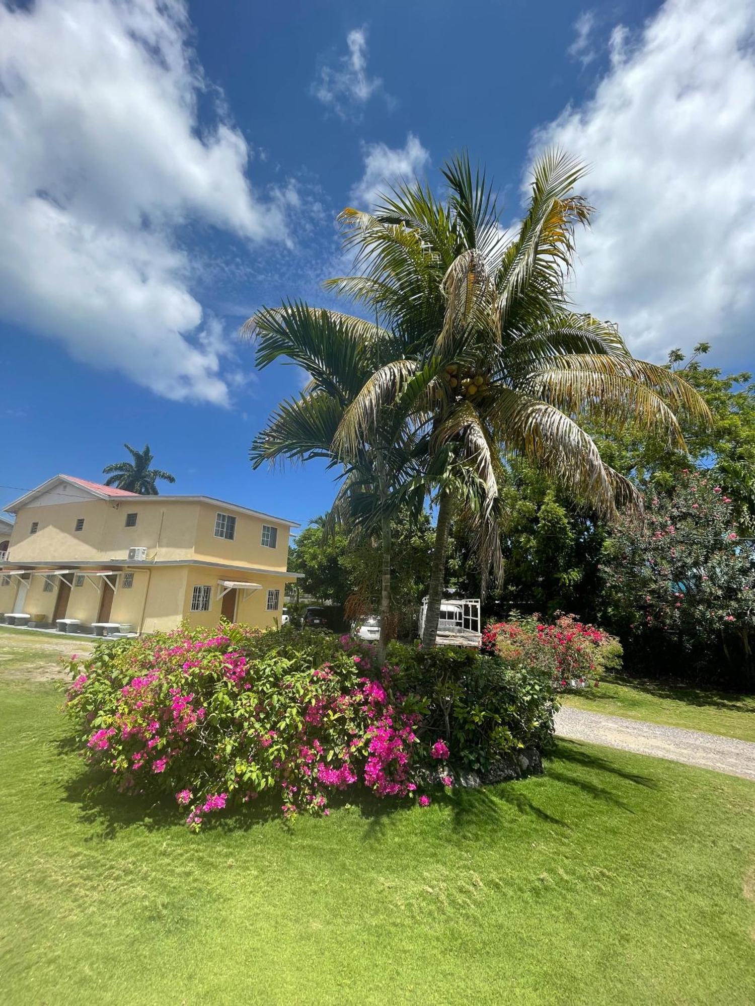 Little Shaw Park Guest House Ocho Rios Esterno foto